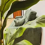 公寓 Casa Filomena
